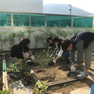 텃밭에 작물을 심고 있는 직원들의 모습
