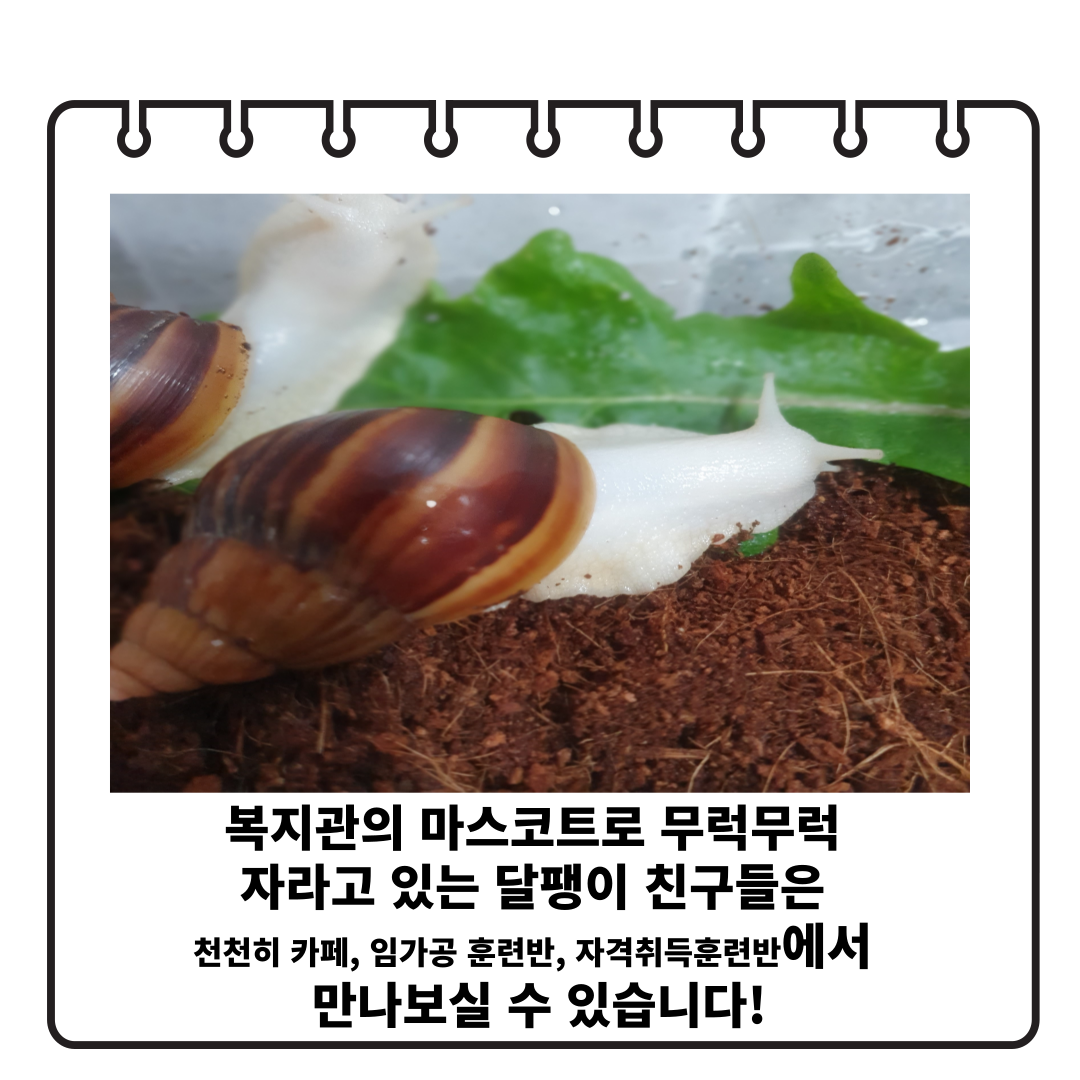 f9313391b9b1ac85141bb029094aa65c_1661405722_03.png