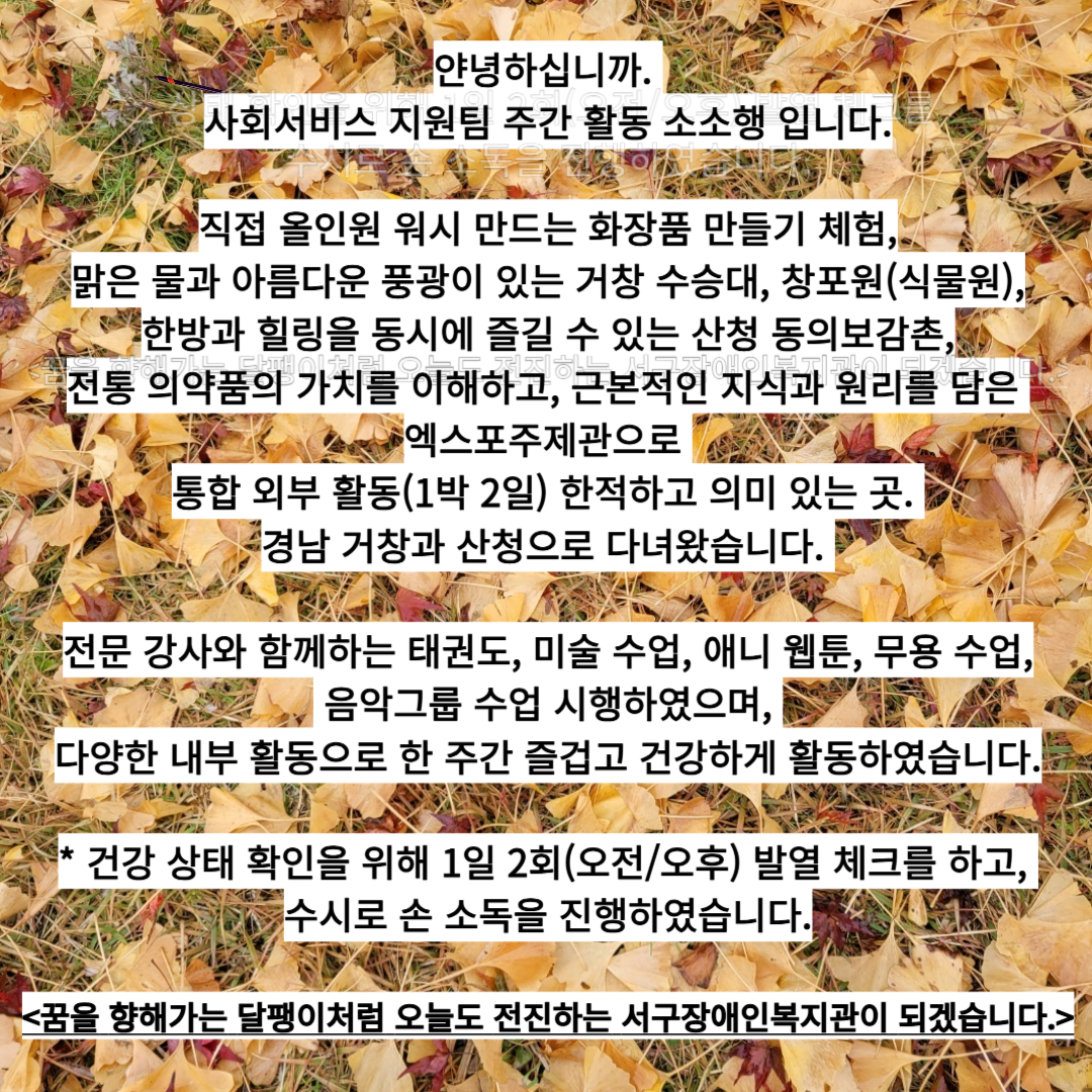 d598b73f981bfd8c9ecfd8e3fee032ad_1733100502_72.png