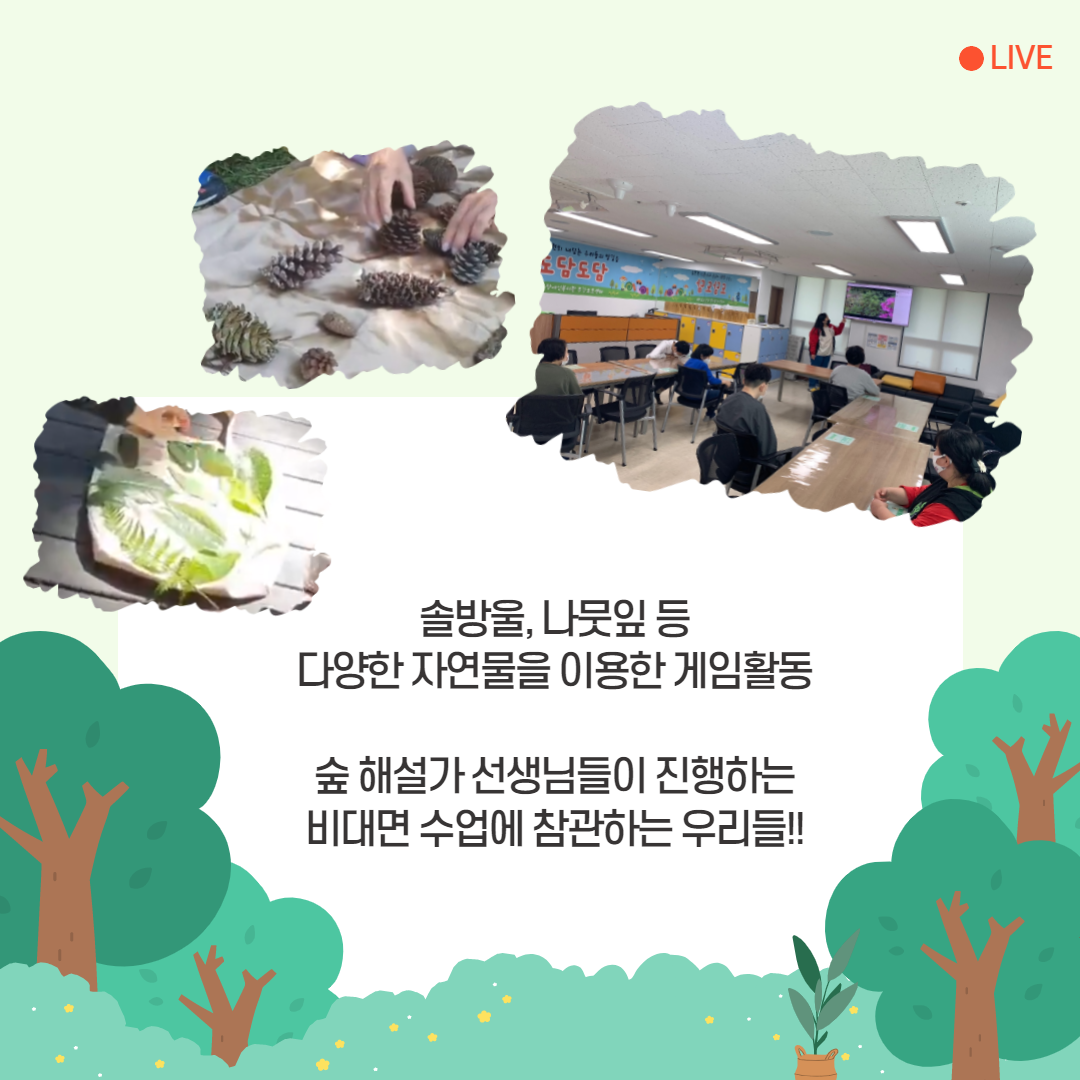 숲 생태 활동 2