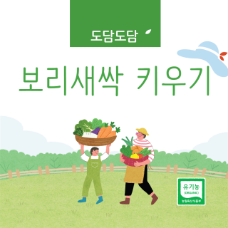 보리새싹 메인제목