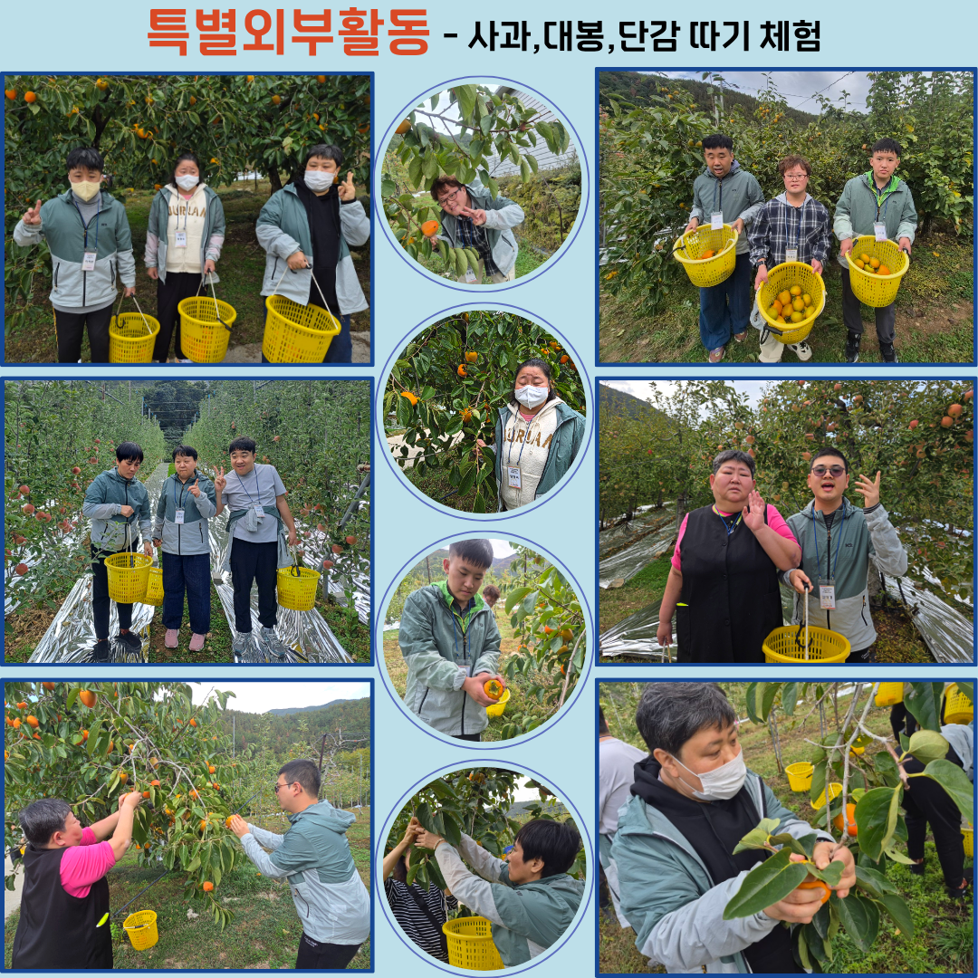 7fe3dc41a85b8e08992c906b0071f394_1792971447_52.png 7fe3dc41a85b8e08992c906b0071f394_1792971447_52.png